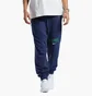 Штаны мужские Reebok Classics Varsity Blue Ic1939