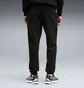 Спортивний костюм чоловічий Puma Essentials No. 1 Logo Black 682574-01__682606-01