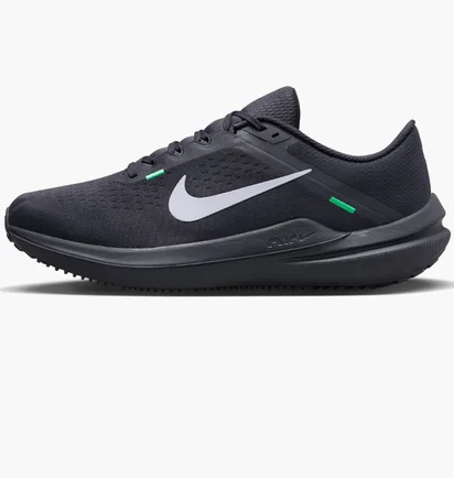 Кроссовки мужские Nike Air Winflo 10 Blue DV4022-004