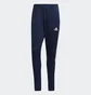 Штани чоловічі Adidas Tiro 21 Track Pants Blue GE5425