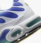 Кроссовки мужские Nike Air Max Plus Turquoise/White DM0032-102