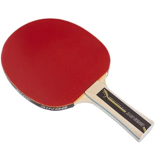 Ракетка для настольного тенниса Donic Waldner 500 Black/Red 723062