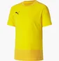 Футболка мужская Puma Teamgoal 23 Training Yellow 65648207