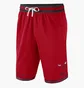 Шорты мужские Nike Chicago Bulls Dna Red DH9169-657