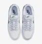 Кросівки чоловічі Nike Dunk Low 3D Swoosh Grey Dv6482-100