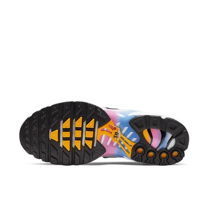 Кроссовки женские Nike Air Max Plus Multi 605112-115