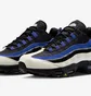 Кросівки чоловічі Nike Air Max 95 Blue Dq0268-001