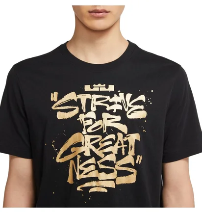 Футболка мужская Nike Lbj Ssnl Sfg Tee Black DD0785-011