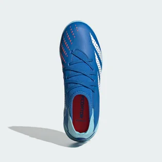 Сороконіжки дитячі Adidas Predator Accuracy .3 Blue IE9452
