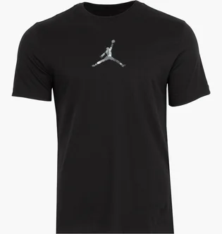 Футболка чоловіча Air Jordan Anti Gravity Tee Black FD7029-010