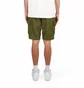 Шорти унісекс The North Face Nse Cargo Short Olive NF0A879RPIB