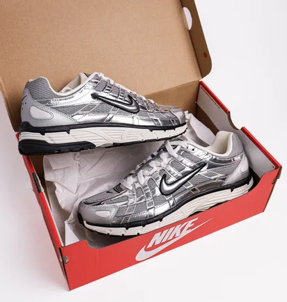 Кросівки чоловічі Nike P-6000 Metallic CN0149-001
