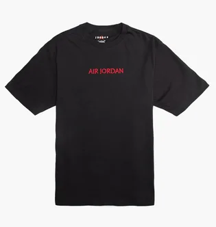 Футболка мужская Air Jordan Embroidered Logo Black Do6098-010