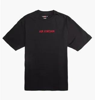 Футболка мужская Air Jordan Embroidered Logo Black Do6098-010