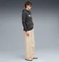 Худи мужское Puma Ess+ Grey 682571-44