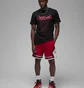 Футболка мужская Air Jordan Dri-Fit Sport Graphic T-Shirt Black FN5974-011