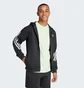Толстовка мужская Adidas Future Icons 3-Stripes Full Zip Hoodie Black IR9159