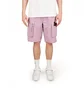 Шорты унисекс Helly Hansen Arc 22 Capsule 221 Shorts Pink 53726-688
