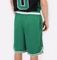 Шорты мужские Nike Boston Celtics Green DB1793-312