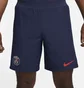 Шорты мужские Nike Dri-Fit Adv Paris Saint-Germain Match 2022/23 Blue DX2630-410