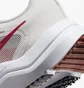 Кроссовки мужские Nike Downshifter 12 Beige Dd9293-009