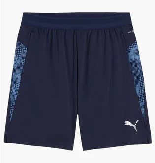 Шорты мужские Puma Teamcup Blue 659171-06