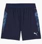 Шорты мужские Puma Teamcup Blue 659171-06