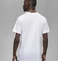 Футболка мужская Air Jordan White Dv8414-100
