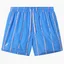 Шорты мужские AUSTRALIAN Stripe Beach Boxer Light Blue LSUCU0010-003