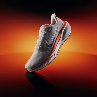 Кроссовки мужские Nike Pegasus 41 Blueprint Straßenlaufschuh White HF0013-900