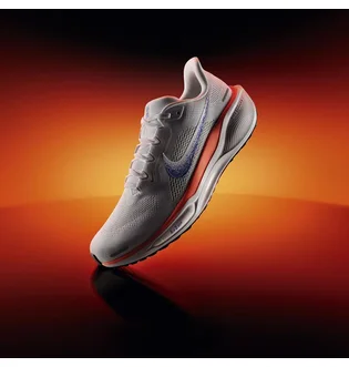 Кроссовки мужские Nike Pegasus 41 Blueprint Straßenlaufschuh White HF0013-900