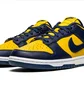 Кроссовки мужские Nike Dunk Low Yellow/Blue DD1391-700