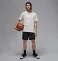 Футболка мужская Air Jordan Dri-Fit Sprt Ss Top Grey FN5829-050