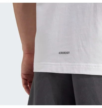 Футболка мужская Adidas Germany Travel T-Shirt White IU2098