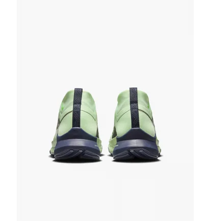 Кроссовки мужские Nike Pegasus Trail 4 Gore-Tex Green DJ7926-303