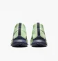 Кроссовки мужские Nike Pegasus Trail 4 Gore-Tex Green DJ7926-303