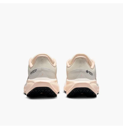 Кросівки жіночі Nike W Pegasus 41 Gore Tex Beige FQ1357-100