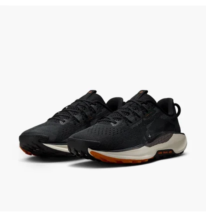 Кросівки чоловічі Nike Pegasus Trail 5 Black DV3864-006