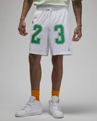Шорти чоловічі Air Jordan Essentials Graphic Mesh Shorts White DX9671-100