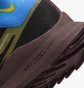 Кросівки жіночі Nike Pegasus Trail 4 Gore-Tex Waterproof Trail Running Shoes Black DJ7929-003
