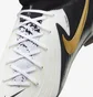 Бутси унісекс Nike Phantom Luna 2 Pro Beige/Black FJ2575-100