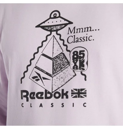 Худи мужское Reebok Classics Skateboard Pink HS7144