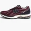 Кросівки унісекс New Balance 1906Rcc Bordo M1906RCC