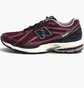 Кросівки унісекс New Balance 1906Rcc Bordo M1906RCC
