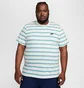 Футболка мужская Nike Club Stripe Tee White DZ2985-094
