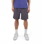 Шорты мужские Snow Peak Breathable Quick Dry Shorts Grey PA-23SU021AS