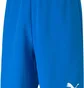 Футболка мужская Puma Shorts Teamrise Short Blue 704942-02