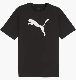 Футболка чоловіча Puma Teamrise Logo Jersey Cotton Black 658705-03