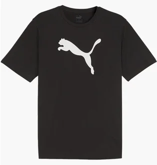 Футболка мужская Puma Teamrise Logo Jersey Cotton Black 658705-03