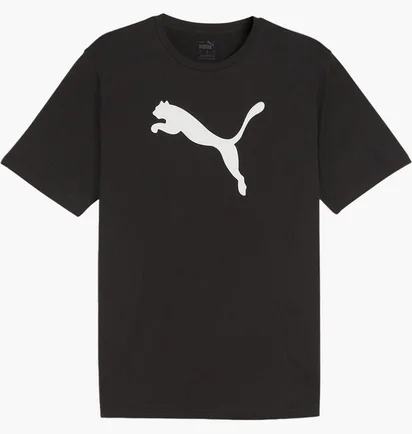 Футболка мужская Puma Teamrise Logo Jersey Cotton Black 658705-03